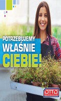 Praca z ziołami bez znajomości języka angielskiego- NL