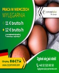 Pracownik wylęgarni (k/m) - Niemcy - Zwrot kosztów dojazdu!