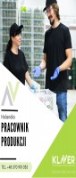 Klaver- praca w Holandii- produkcja sałatek 