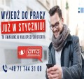 Styczeń to najlepszy moment na znalezienie pracy– NL