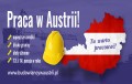 STOLARZ- AUSTRIA ,umowa austriacka,diety, od 2300eur na rękę