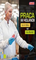 Praca w Holandii na krótki lub długi okres - NL