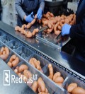 Pracownik produkcji w Holandii (Przemysł spożywczy) (758)