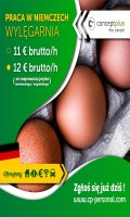 Pracownik wylęgarni - bez znajomości niemieckiego!12€