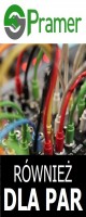 Pracownik produkcji elektroniki samochodowej (Mikulov) 