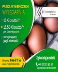 Pracownik (k/m) - mycie skrzynek pod ciśnieniem - nawet 13,50 € brutto/h!