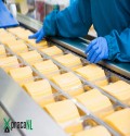 Końcowa faza linii produkcyjnej --- Almere -- pakowanie produktów serowych
