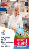Super praca w VEPO CHEESE - NL