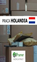 Pracownik sortowni paczek DHL (Tiel)