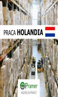 Pracownik magazynu, komisjoner / order-picker, LIDL (różne rejony)