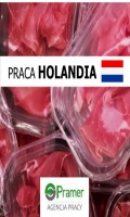 Pakowanie mięsa mrożonego - €11,00 b/h, bez doświadczenia