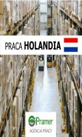 Pracownik magazynu Koopman - dla par i singli 