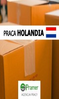 Pracownik magazynu Koopman - dla par i singli