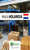 Pakowanie produktów na magazynie LIDL - €11,68 + DODATKI!