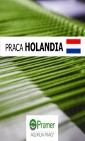 Pracownik przy produkcji dywanów sztucznej trawy - €17,16 b/h!