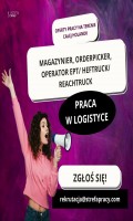 Praca w logistyce - Ponad 200 ofert pracy!