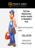 Zlota raczka - maintenance guy