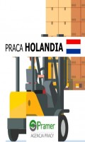 Operator wózka widłowego / heftruck - bez prawo jazdy!