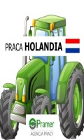 Pracownik gospodarstwa rolniczego / Traktorzysta - DUŻO GODZIN!
