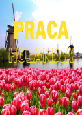 PRACA PRZY KWIATACH
