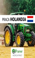 Traktorzysta - STA£A PRACA