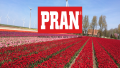 PRACOWNIK HOTELU - housekeeping | Haarlem - Amsterdam - Scheveningen - Eindhoven | Holandia 