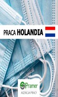 Pakowanie produktów higienicznych (Lelystad)