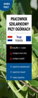 Pracownik szklarniowy przy ogórkach