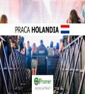 Pracownik przy stawianiu ogrodzeń na festiwalach (€14.00brutto/h)