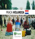  PRACOWNIK PRZY STAWIANIU OGRODZEŃ NA FESTYNACH, FESTIWALACH( 14,00€)