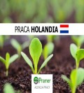 PRACA SEZONOWA- PLEWIENIE(WYJAZD 22.05.2023R.) 