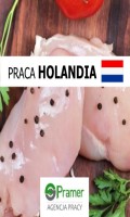 Pracownik produkcji przy mięsie drobiowym (Wezep)€12.50 + dodatki