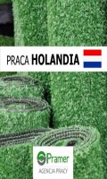 ⭐Produkcja sztucznej trawy (Hasselt) €16.04 + dodakti ⭐