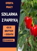 Praca w szklarni