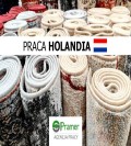 Produkcja wykładzin - €15.28 + dodatki
