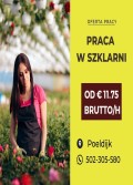 Praca w szklarni, sortowni owoców i na produkcja €11,75€ brutto/h