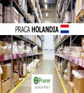 Pracownik przy wymianie i serwisie opon (Zwolle lub Zaandam)