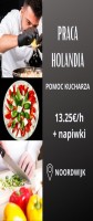 Pomoc kucharza 