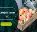 ZBIÓR JAB£EK I GRUSZEK W HOLANDII  (M/K) 