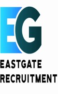 Elektryk Islandia