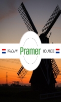 Produkcja Sałatek (zwaagdijk)