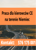 Kierowca C+e Walking Floor 2/1 2/2 Chemnitz