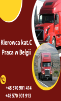 Kierowca Kat. C Praca W Belgii