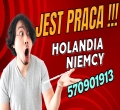 Operator Wózka Widłowego- Praca W Holandii