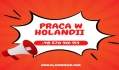 Produkcja /kwiaty, Pralnia-praca Holandia - Nieuw-vennep