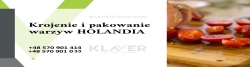 Praca Na Produkcji W Holandii- Bez Języka, Wysokie Wynagrodzenie