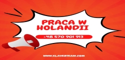 Operator Wózka Widłowego - Praca W Holandii