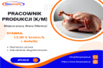 Pakowacz / Pracownik Produkcji (k/m)