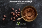 Praca W Holandii- Pracownik Produkcji Kakao- Praca Od Zaraz!