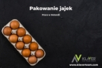 Praca Za Granicą- Pakowanie Jajek- Praca Od Zaraz!